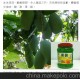 沙布列藍(lán)莓果醬/優(yōu)質(zhì)果醬/批發(fā)/奶茶原料/開(kāi)奶茶店