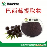 優(yōu)質(zhì)巴西莓粉  速溶巴西莓果粉 紫紅色粉末直銷