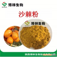 沙棘果粉 沙棘提取物 10:1沙棘黃酮