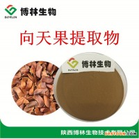 所羅門(mén)向天果提取物10:1 優(yōu)質(zhì)向天果粉 向天果的價(jià)格