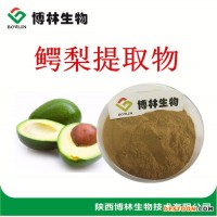 牛油果提取物10：1 20：1  鱷梨提取物