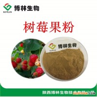 優(yōu)質(zhì)樹莓果粉|提取物10：1 20：1 樹莓苷 覆盆子提取物