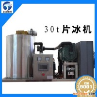 河南周口奶茶專用制冰機,顆粒冰機,食用制冰機,片冰機,管冰機,雪花制冰機