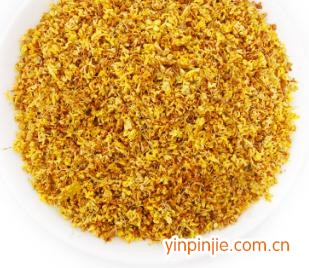 臨桂藍天桂花專業(yè)合作社