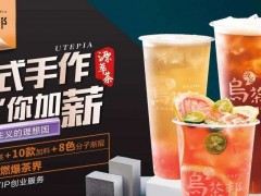 飲品投資項(xiàng)目選擇烏茶邦加盟怎么樣