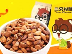 開(kāi)家三只松鼠加盟店需要多少費(fèi)用呢?