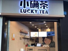 想開個小確茶加盟店成本要多少