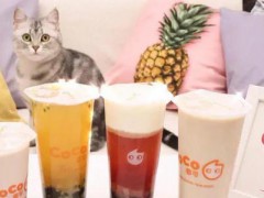 coco珍珠奶茶是招牌嗎？可以加盟coco嗎？