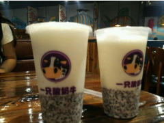 一只酸奶牛加盟費多少錢?該如何加盟?