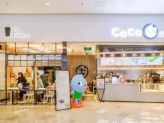 適合開(kāi)coco奶茶加盟店的地段分享