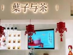 葉子與茶這個品牌加盟支持有哪些？