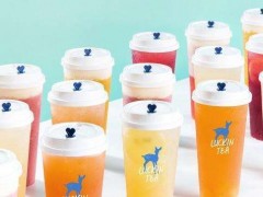 小鹿茶加盟費(fèi)高不高?加盟利潤(rùn)如何?