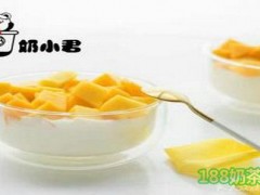 奶小君代餐酸奶加盟費(fèi)多少？奶小君代餐酸奶加盟怎么樣？