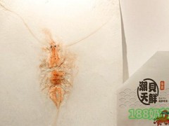 潮貝天鮮甲骨紋加盟條件是什么？潮貝天鮮甲骨紋加盟好不好？