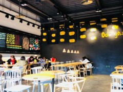 Oolong烏龍?jiān)趺礃?？超高人氣羨煞旁人！