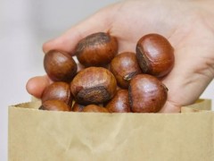 盛文甘栗可以加盟嗎？盛文甘栗如何加盟？
