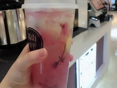 高山禪飲哪個好喝？高山禪飲加盟條件是什么？