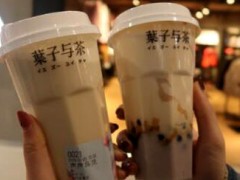 葉子與茶加盟怎么樣？葉子與茶加盟好不好？