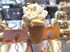 極拉圖冰淇淋怎么樣？開一家極拉圖需要多少錢？