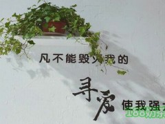 尋愛奶茶加盟