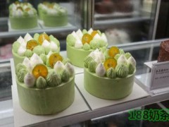 摩點(diǎn)蔓檸加盟
