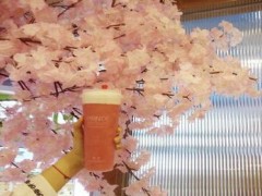 尋吻王子拉茶怎么樣？尋吻王子拉茶總部在哪？