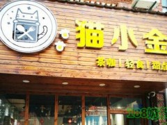 呆呆貓小金加盟