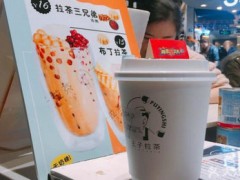 普盈士王子拉茶怎么樣？年利潤高不高？