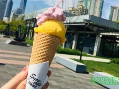 夏日雪仁加盟