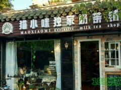 貓小咪奶茶加盟
