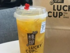 祿Cup Lucky cup奶茶好喝嗎？祿Cup Lucky cup的加盟條件有哪些？