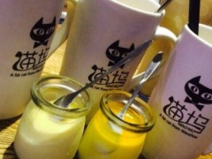 貓塢歐式奶茶成網(wǎng)紅熱銷品，多種口味總有一個適合你