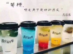 哪個(gè)奶茶品牌加盟費(fèi)便宜？而且口碑好