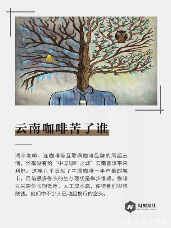 云南咖啡劣幣驅(qū)逐良幣，咖農(nóng)種一年虧損十幾萬