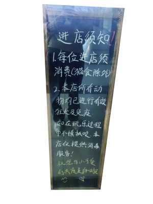寵物主題咖啡店越開越多，監(jiān)管處于空白地