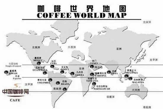 咖啡市場供需情況如何？影響咖啡價格的因素有哪些？