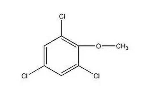 杯測課程中為什么會產(chǎn)生酚味?（Ⅰ）