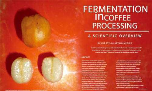 詳解在咖啡處理中發(fā)酵的應(yīng)用