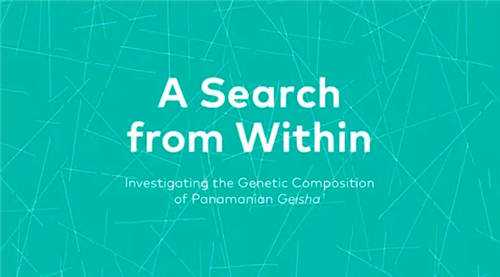 咖啡知識:巴拿馬瑰夏的遺傳組成