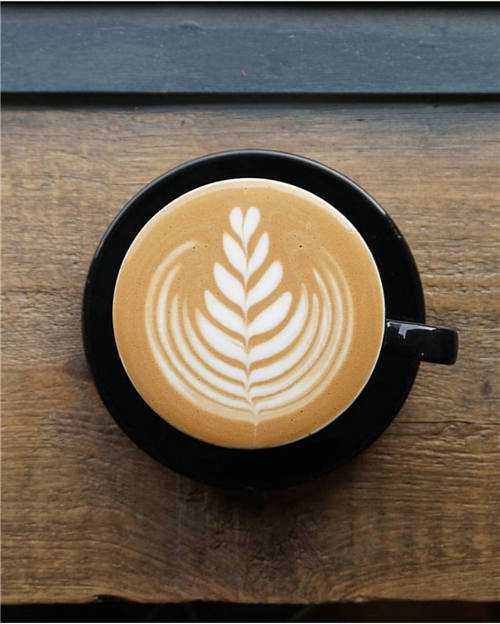 原來這樣的牛奶才是最適合咖啡拉花的?