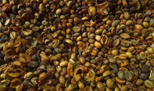 咖啡知識:怎樣的咖啡稱為陳年咖啡?