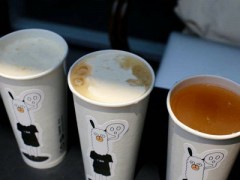 徐小包奶茶加盟條件是什么？喝徐小包奶茶把你寵成寶！