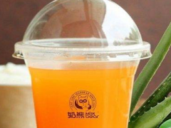奶熊奶茶加盟店如何提高競爭力，如何提高利潤？