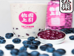 桃園上引奶茶加盟