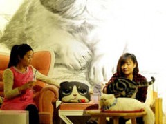 動物咖啡館成新寵