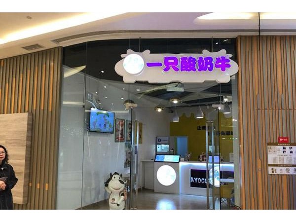 一只酸奶牛加盟總部在哪里，大扶持帶你前行