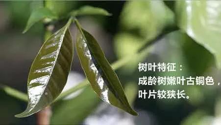 http://7xo6kd.com1.z0.glb.clouddn.com/upload-ueditor-image-20160126-1453795201939075587.jpg