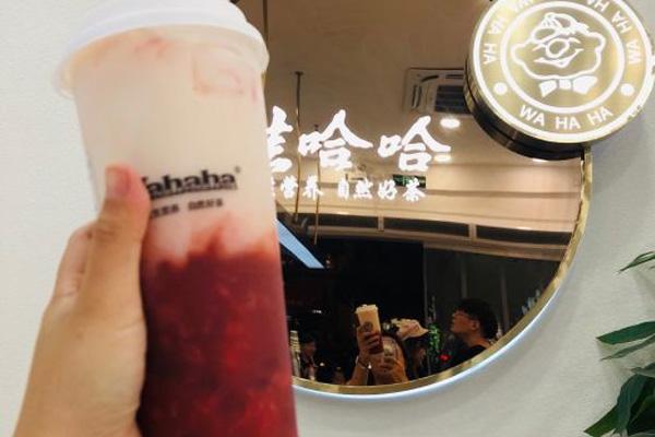 娃哈哈奶茶產品圖3