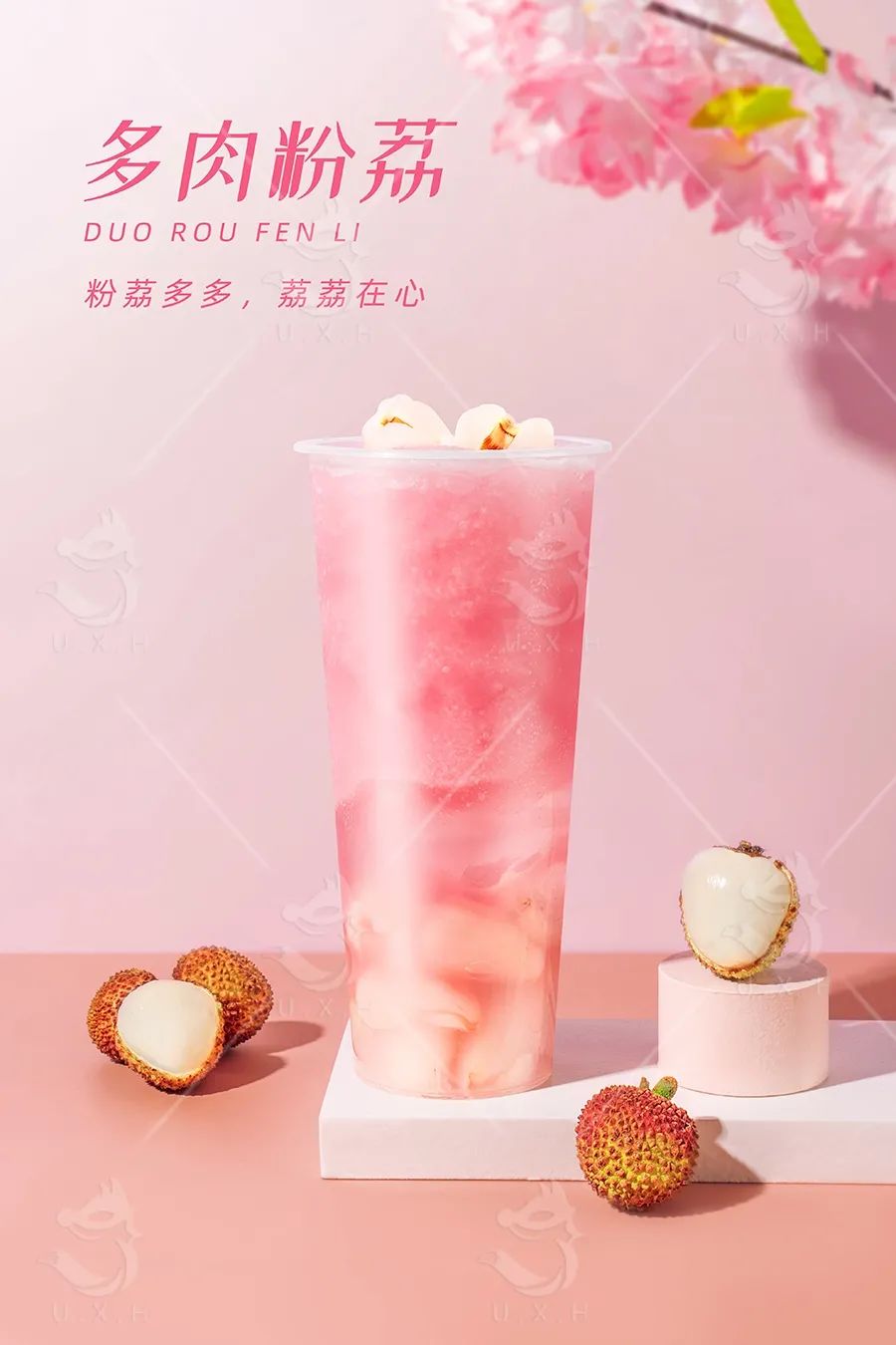 多肉粉荔豎版.jpg