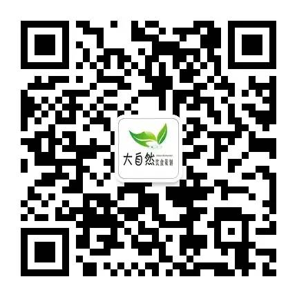 1456024969215488.jpg